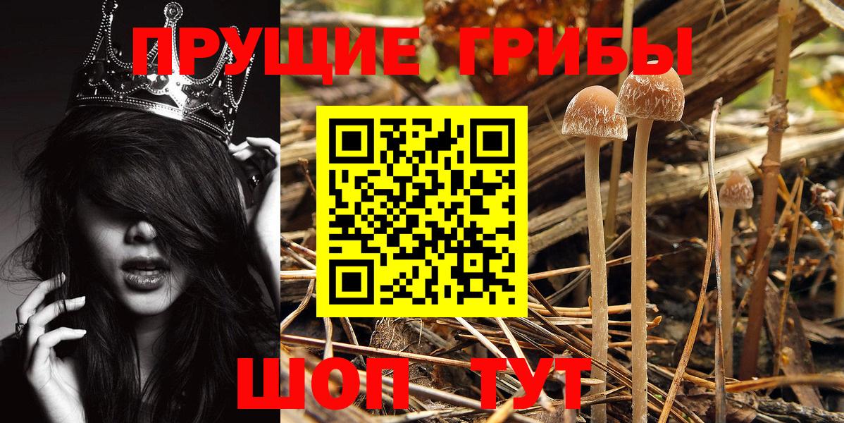 Псилоцибиновые грибы MAGIC MUSHROOMS Нефтекамск