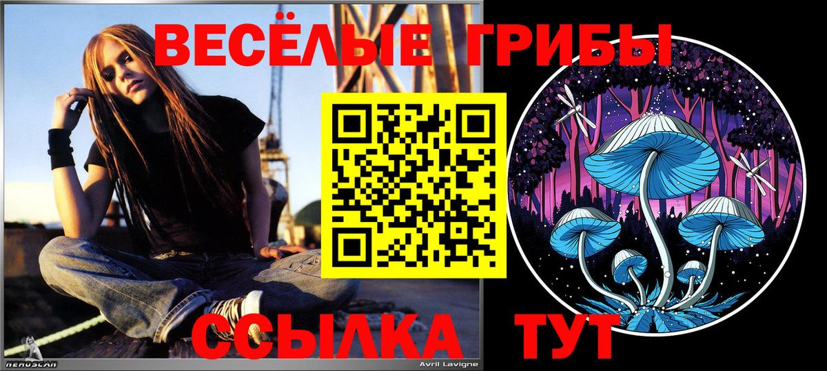Нефтекамск  Галлюциногенные грибы мицелий  Вход с VPN 